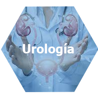 urologia